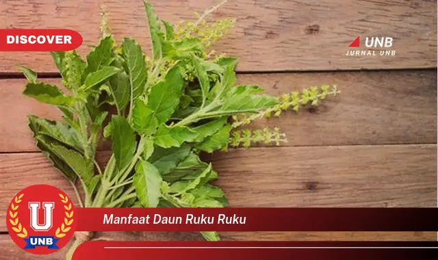 Ketahui 8 Manfaat Daun Ruku Ruku untuk Kesehatan Tubuh Anda