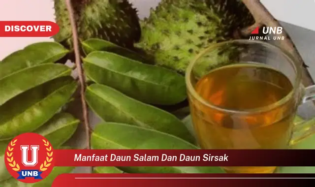 Ketahui 10 Manfaat Daun Salam dan Daun Sirsak untuk Kesehatan Tubuh Anda