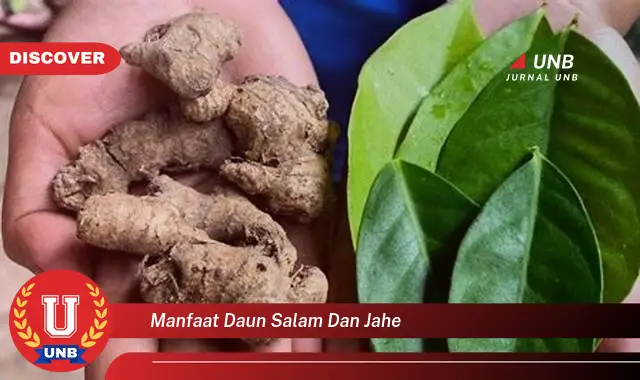 Ketahui 9 Manfaat Daun Salam dan Jahe untuk Kesehatan Anda