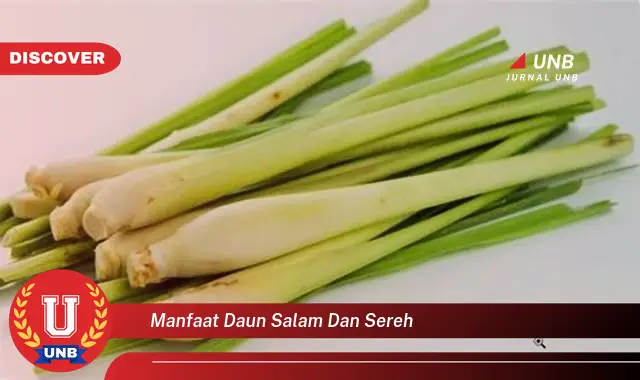 Ketahui 10 Manfaat Daun Salam dan Sereh untuk Kesehatan dan Kecantikan