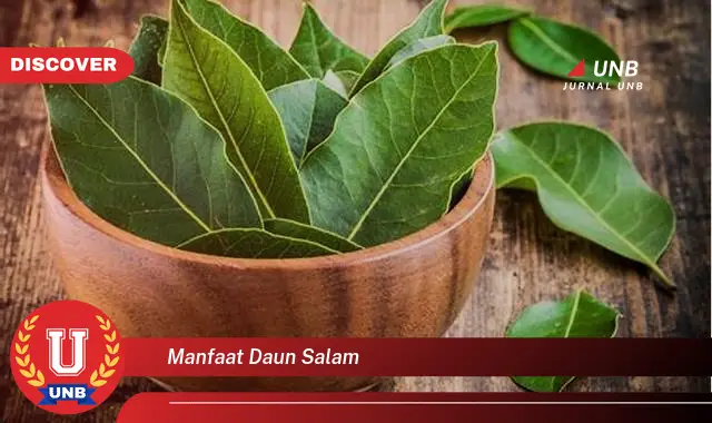 Ketahui 8 Manfaat Daun Salam untuk Kesehatan, Dari Menurunkan Gula Darah Hingga Mengatasi Asam Urat