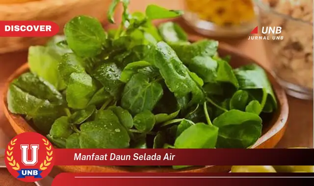 manfaat daun selada air