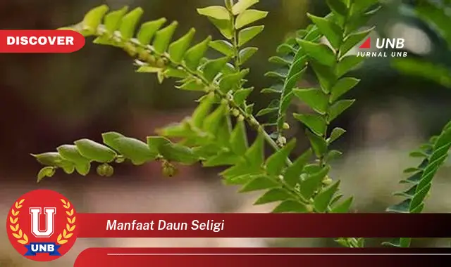 manfaat daun seligi