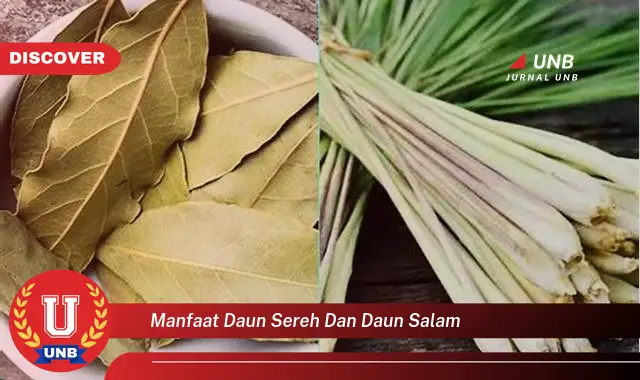 manfaat daun sereh dan daun salam