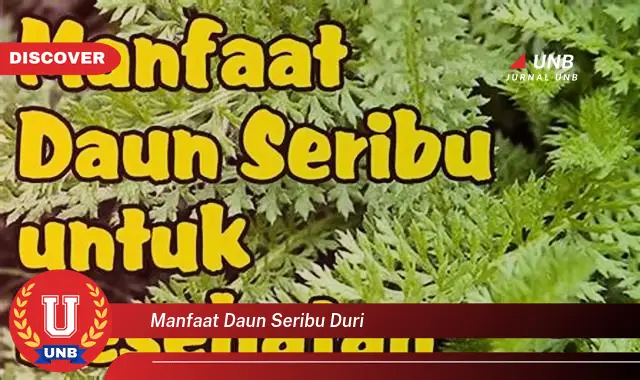 Ketahui 9 Manfaat Daun Seribu Duri untuk Kesehatan Tubuh Anda