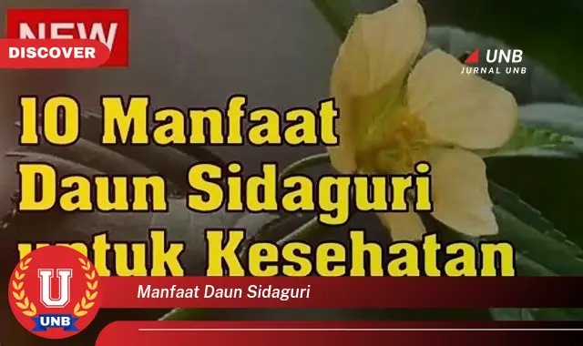 Ketahui 8 Manfaat Daun Sidaguri untuk Kesehatan Tubuh Anda Secara Alami