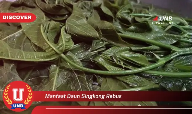 Ketahui 10 Manfaat Daun Singkong Rebus untuk Kesehatan Tubuh Anda