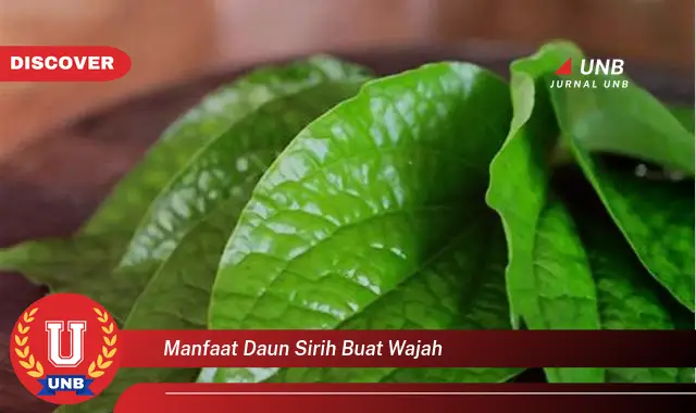 Ketahui 10 Manfaat Daun Sirih untuk Wajah, Tips dan Cara Penggunaan