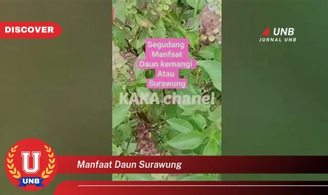 Ketahui 9 Manfaat Daun Surawung untuk Kesehatan Anda