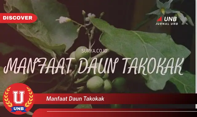 Ketahui 9 Manfaat Daun Takokak untuk Kesehatan Anda