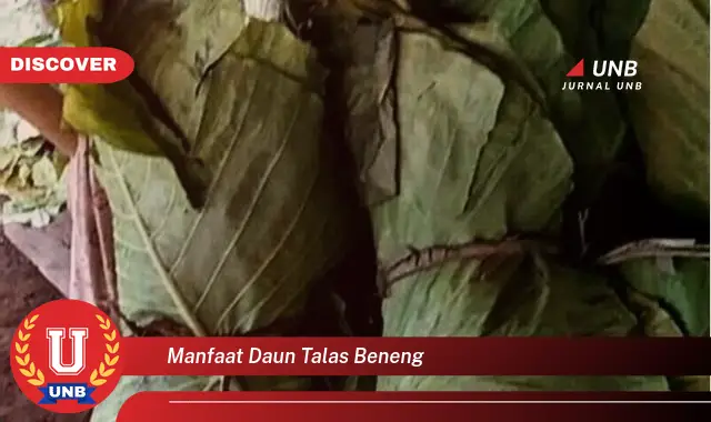 Ketahui 9 Manfaat Daun Talas Beneng untuk Kesehatan Tubuh Anda