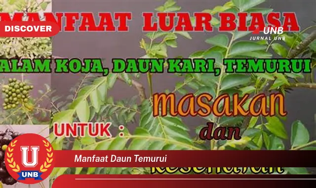 Ketahui 10 Manfaat Daun Temurui untuk Kesehatan dan Kecantikan