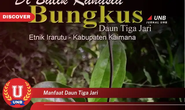 manfaat daun tiga jari