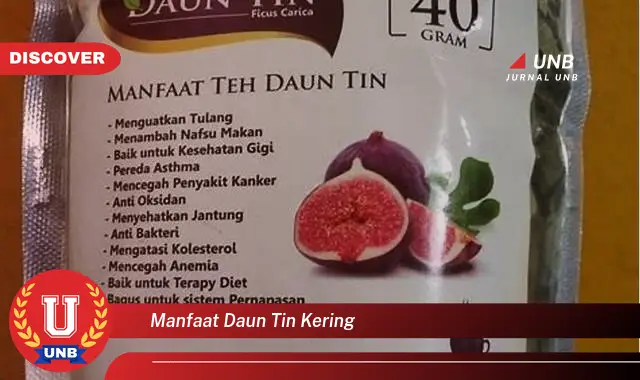 manfaat daun tin kering