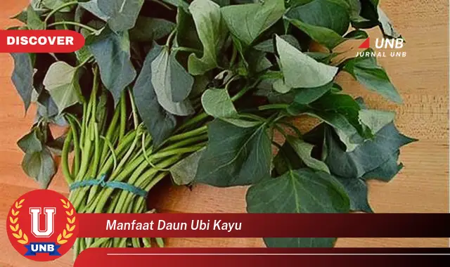 Ketahui 9 Manfaat Daun Ubi Kayu untuk Kesehatan, Dari Nutrisi Hingga Pengobatan Tradisional