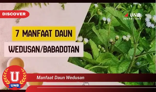 Ketahui 9 Manfaat Daun Wedusan untuk Kesehatan, Kecantikan, dan Lainnya