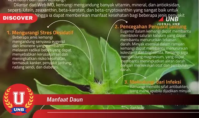 Ketahui 9 Manfaat Daun untuk Kesehatan, Kecantikan, dan Lainnya