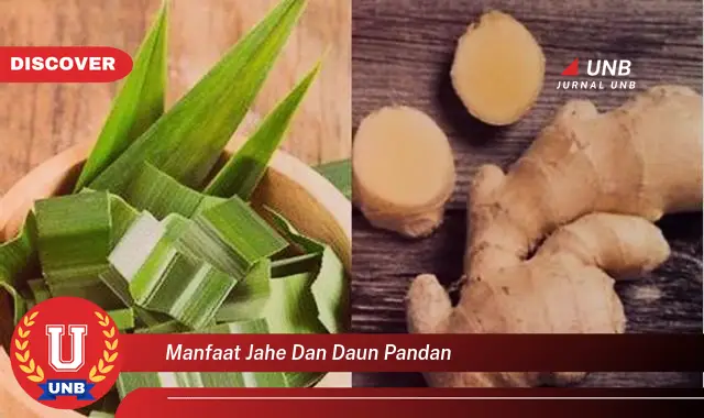 manfaat jahe dan daun pandan