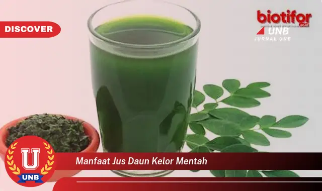 Ketahui 8 Manfaat Jus Daun Kelor Mentah untuk Kesehatan Tubuh Anda