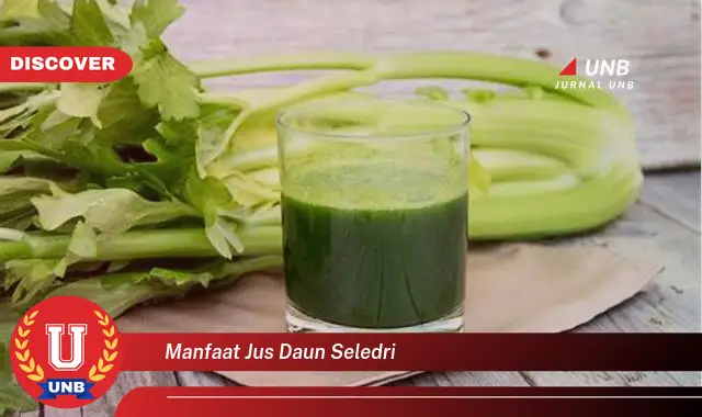 manfaat jus daun seledri