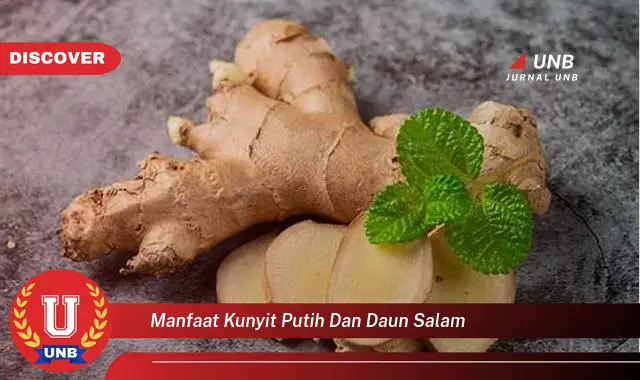 Ketahui 9 Manfaat Kunyit Putih dan Daun Salam untuk Kesehatan Anda