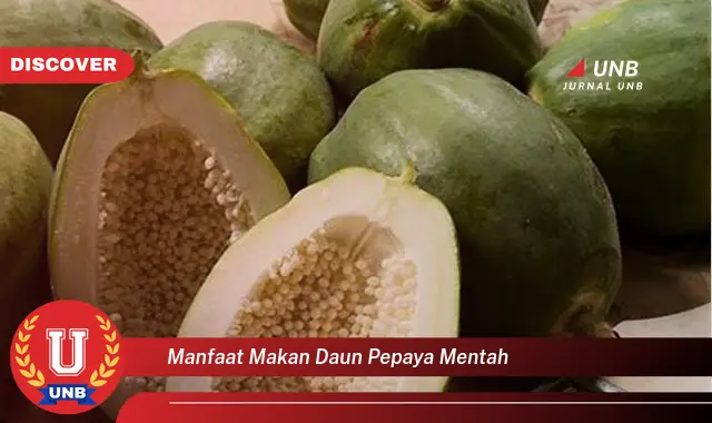 manfaat makan daun pepaya mentah