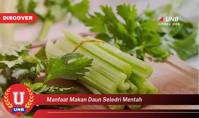 Ketahui 9 Manfaat Makan Daun Seledri Mentah untuk Kesehatan Anda