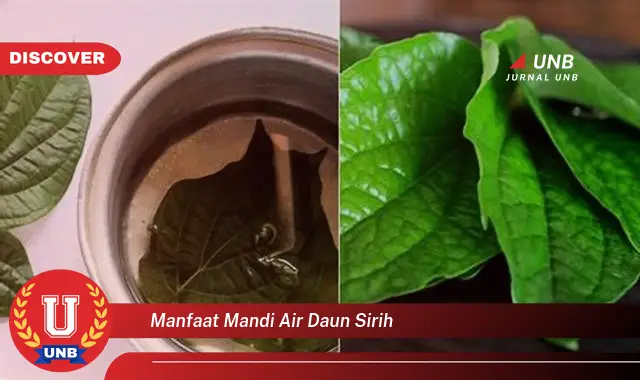 Ketahui 8 Manfaat Mandi Air Daun Sirih untuk Kesehatan Kewanitaan dan Cara Meraciknya