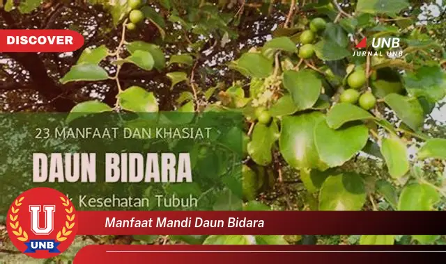 Atasi Masalah Spiritual dan Fisik dengan Mandi Daun Bidara, Manfaat, Cara, dan Pantangan