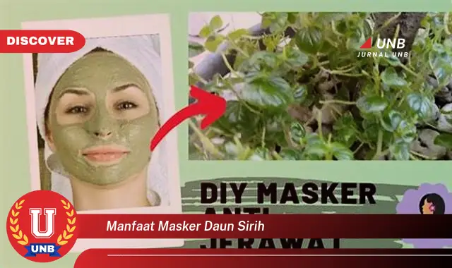 Ketahui 8 Manfaat Masker Daun Sirih untuk Kulit Wajah Cerah dan Sehat Alami