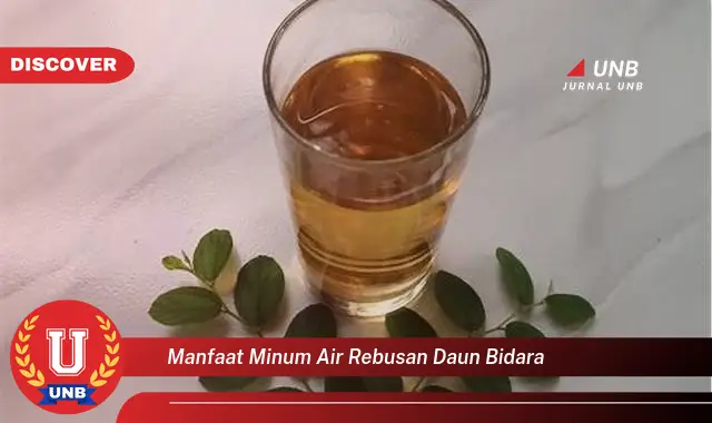 manfaat minum air rebusan daun bidara