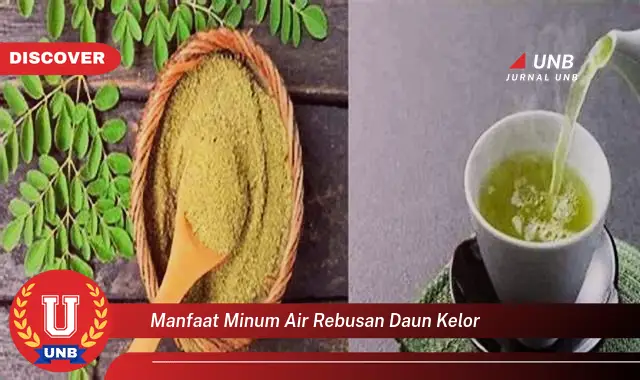 Ketahui 8 Manfaat Minum Air Rebusan Daun Kelor untuk Kesehatan Tubuh Anda