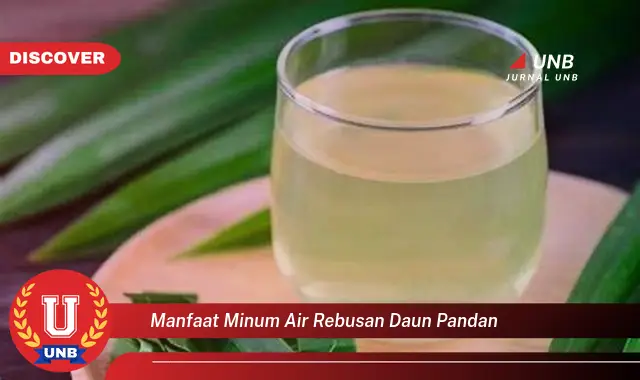 Ketahui 8 Manfaat Minum Air Rebusan Daun Pandan untuk Kesehatan Anda