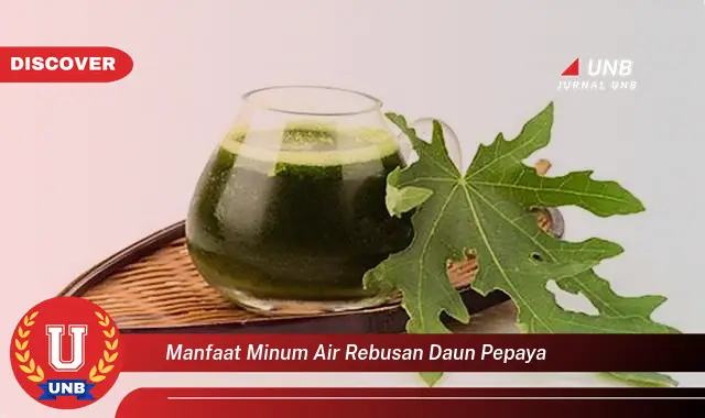 Ketahui 9 Manfaat Minum Air Rebusan Daun Pepaya untuk Kesehatan Anda