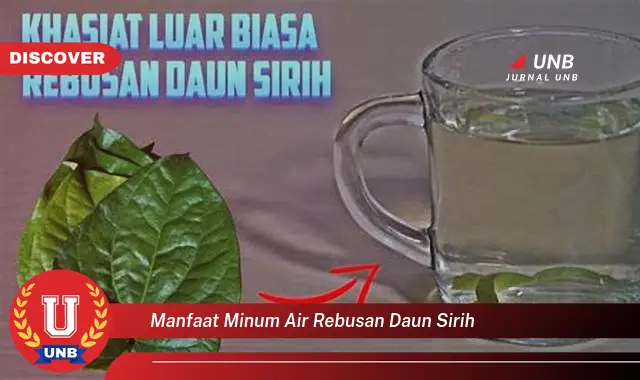 Ketahui 9 Manfaat Minum Air Rebusan Daun Sirih untuk Kesehatan Tubuh Anda