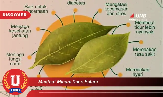 Ketahui 9 Manfaat Minum Daun Salam untuk Kesehatan Tubuh Anda