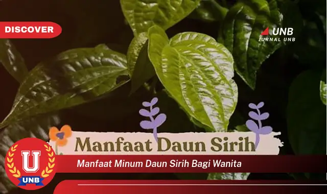 Ketahui 10 Manfaat Minum Daun Sirih Bagi Wanita, Solusi Alami untuk Kesehatan & Kecantikan