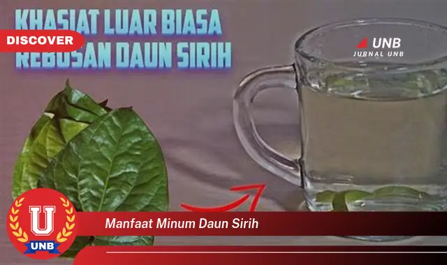 Ketahui 10 Manfaat Minum Daun Sirih untuk Kesehatan Tubuh Anda