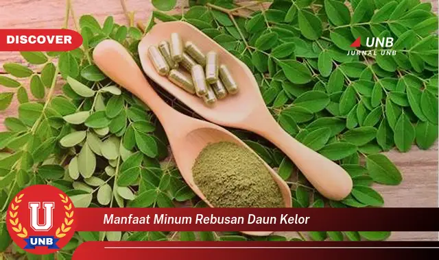 manfaat minum rebusan daun kelor