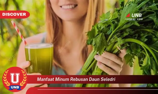 manfaat minum rebusan daun seledri