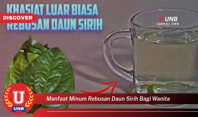 Ketahui 8 Manfaat Minum Rebusan Daun Sirih Bagi Wanita untuk Kesehatan & Kecantikan