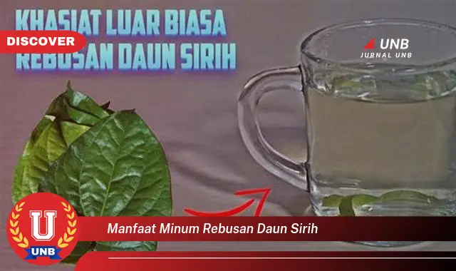 manfaat minum rebusan daun sirih