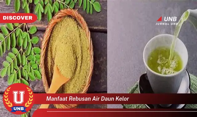 manfaat rebusan air daun kelor