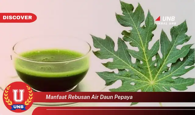 manfaat rebusan air daun pepaya