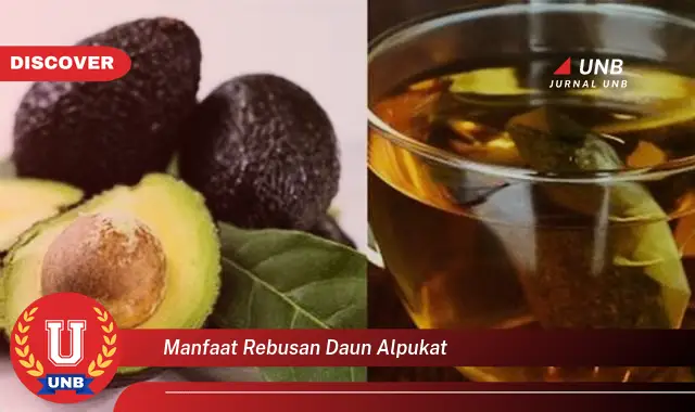 manfaat rebusan daun alpukat