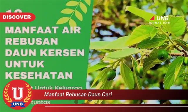 Ketahui 9 Manfaat Rebusan Daun Ceri untuk Kesehatan Anda