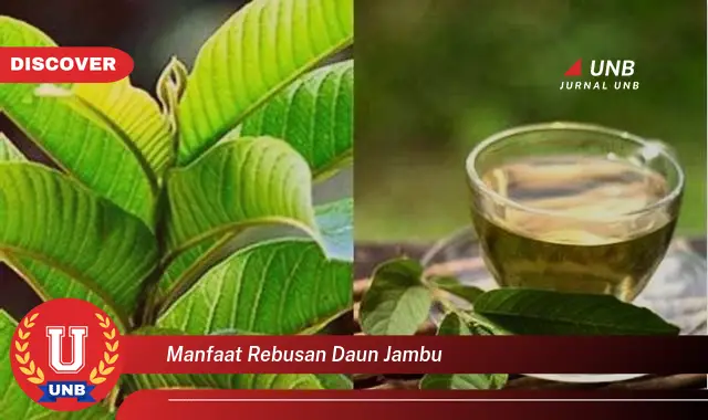 manfaat rebusan daun jambu