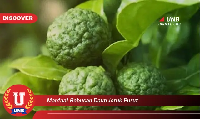 manfaat rebusan daun jeruk purut