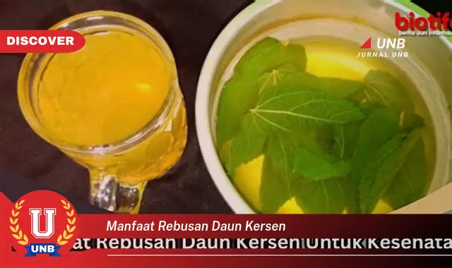 Ketahui 10 Manfaat Rebusan Daun Kersen untuk Kesehatan Anda