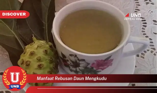 manfaat rebusan daun mengkudu